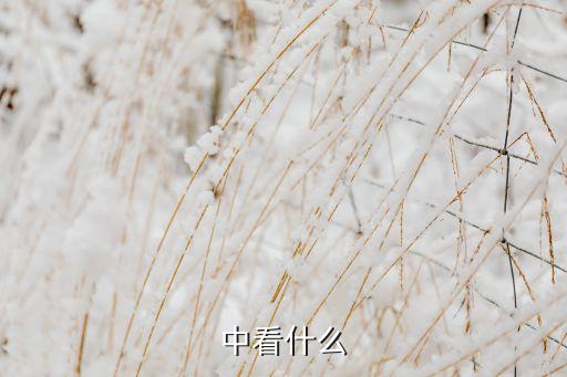 中看什么