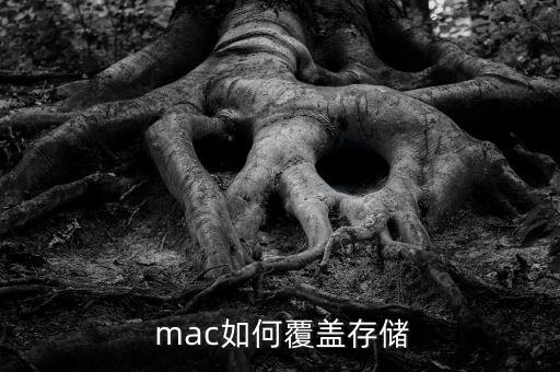mac抹掉數(shù)據(jù),Mac抹掉數(shù)據(jù)后出現(xiàn)磁盤和設(shè)置圖標(biāo)怎么選擇