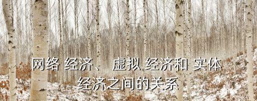 網(wǎng)絡(luò) 經(jīng)濟、 虛擬 經(jīng)濟和 實體 經(jīng)濟之間的關(guān)系