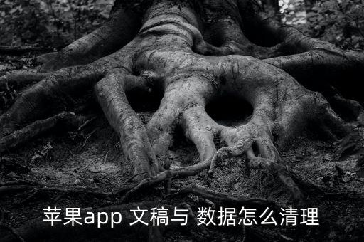 蘋(píng)果app 文稿與 數(shù)據(jù)怎么清理