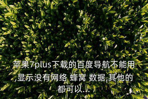 蘋果7plus下載的百度導(dǎo)航不能用,顯示沒有網(wǎng)絡(luò) 蜂窩 數(shù)據(jù),其他的都可以...
