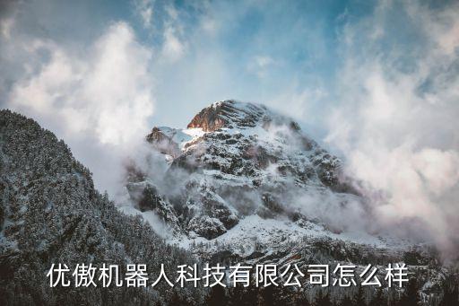 河南優(yōu)傲機器人科技有限公司怎么樣