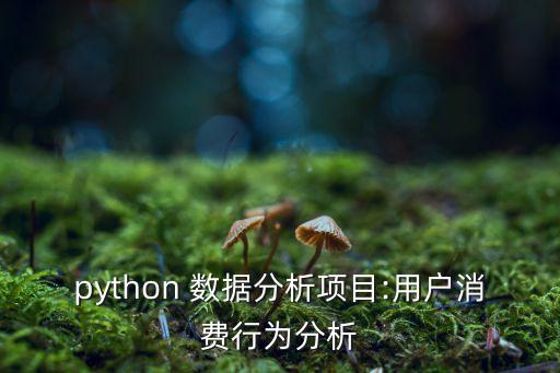 數(shù)據(jù)立方詳解,returnal 數(shù)據(jù)立方