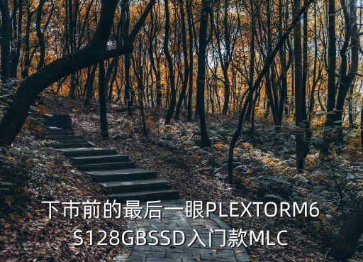 下市前的最后一眼PLEXTORM6S128GBSSD入門款MLC