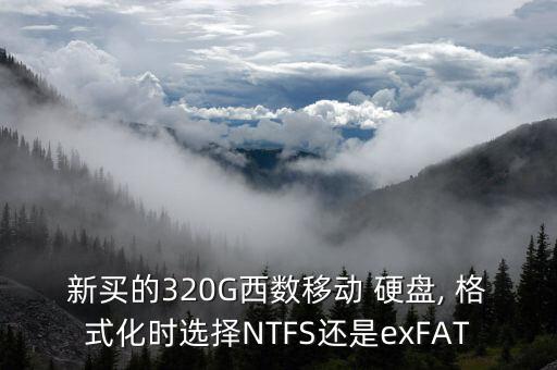 新買的320G西數(shù)移動 硬盤, 格式化時選擇NTFS還是exFAT