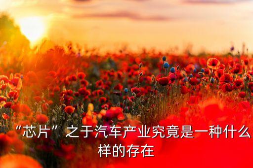 “芯片”之于汽車產(chǎn)業(yè)究竟是一種什么樣的存在