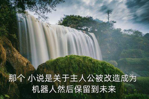 那個 小說是關(guān)于主人公被改造成為 機器人然后保留到未來