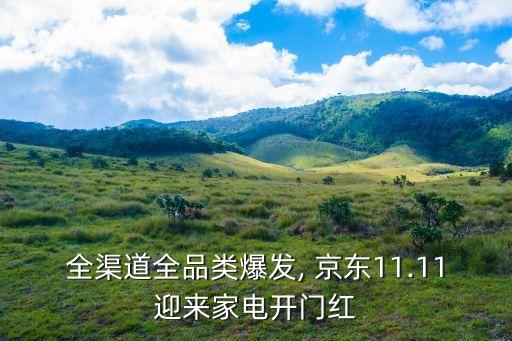 全渠道全品類爆發(fā), 京東11.11迎來家電開門紅