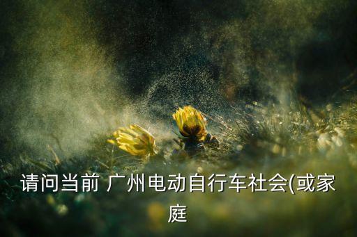 請問當(dāng)前 廣州電動自行車社會(或家庭