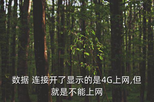 數(shù)據(jù) 連接開了顯示的是4G上網(wǎng),但就是不能上網(wǎng)