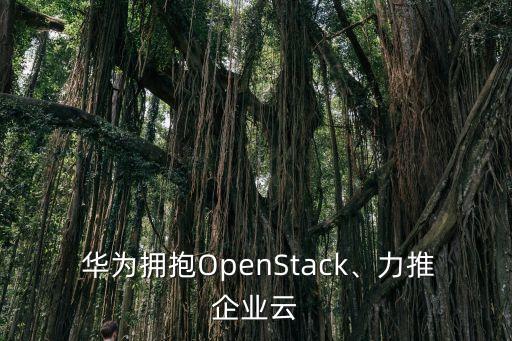 華為數(shù)據(jù)中心安全解決方案,華為物聯(lián)網(wǎng)安全解決方案