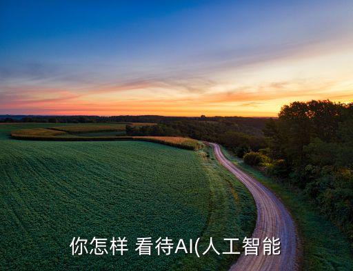 你怎樣 看待AI(人工智能