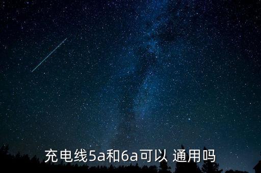 充電線5a和6a可以 通用嗎