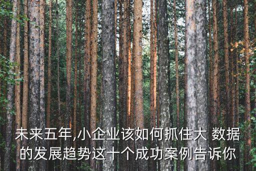 未來(lái)五年,小企業(yè)該如何抓住大 數(shù)據(jù)的發(fā)展趨勢(shì)這十個(gè)成功案例告訴你
