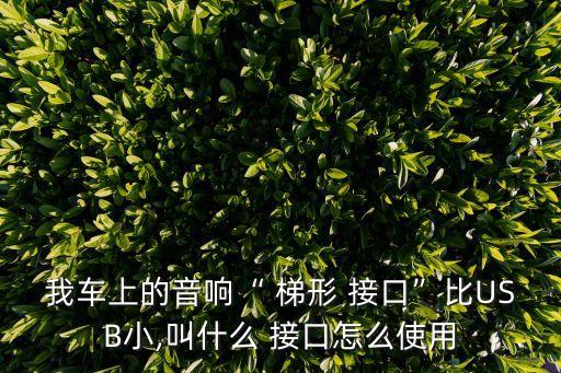 我車上的音響“ 梯形 接口”比USB小,叫什么 接口怎么使用