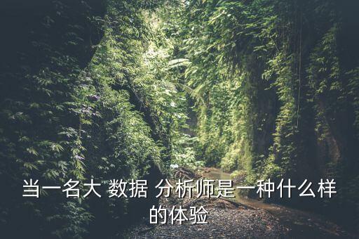 當一名大 數(shù)據(jù) 分析師是一種什么樣的體驗