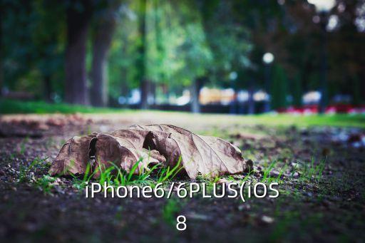 iPhone6/6PLUS(iOS8