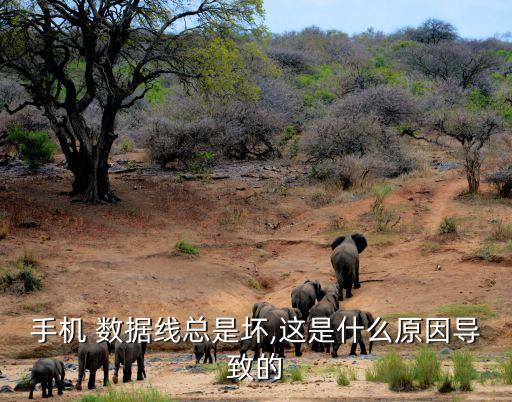 數(shù)據(jù)線為啥那么容易壞,蘋果數(shù)據(jù)線容易壞的原因