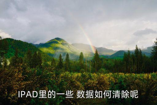 IPAD里的一些 數(shù)據(jù)如何清除呢