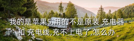 我的是蘋果5,用的不是原裝 充電器和 充電線,充不上電了,怎么辦