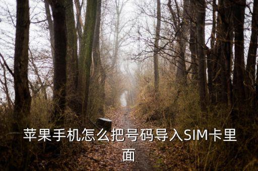  蘋果手機(jī)怎么把號碼導(dǎo)入SIM卡里面