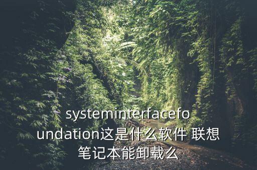systeminterfacefoundation這是什么軟件 聯(lián)想筆記本能卸載么