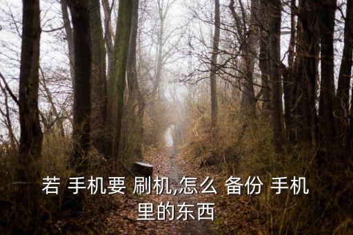 若 手機(jī)要 刷機(jī),怎么 備份 手機(jī)里的東西