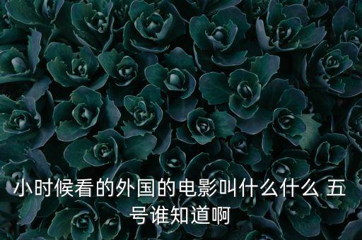 小時候看的外國的電影叫什么什么 五號誰知道啊
