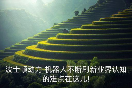 波士頓動力 機(jī)器人不斷刷新業(yè)界認(rèn)知的難點在這兒!
