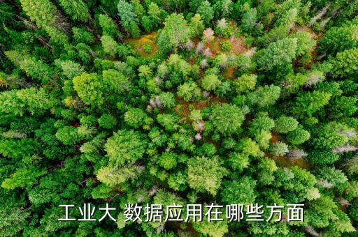  工業(yè)大 數(shù)據(jù)應(yīng)用在哪些方面