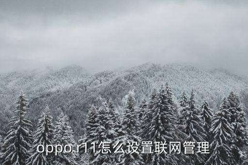 oppo r11怎么設(shè)置聯(lián)網(wǎng)管理
