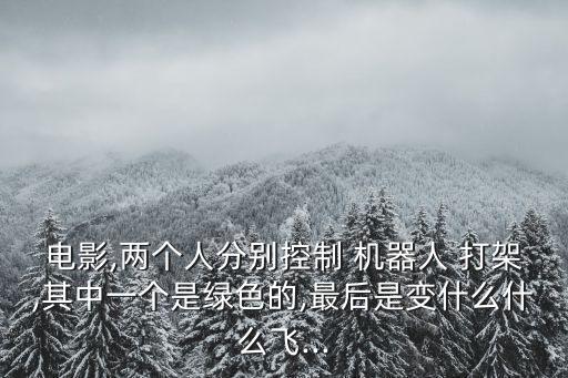 電影,兩個人分別控制 機器人 打架,其中一個是綠色的,最后是變什么什么飛...