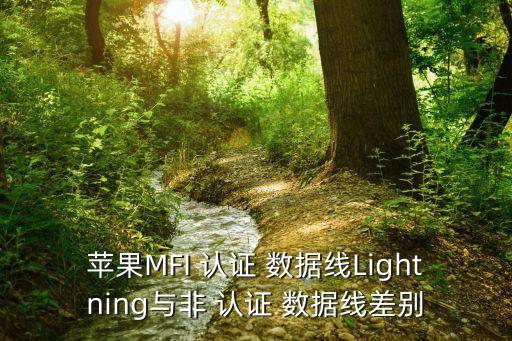 沒有mfi認(rèn)證的數(shù)據(jù)線,非Mfi認(rèn)證數(shù)據(jù)線傷機嗎