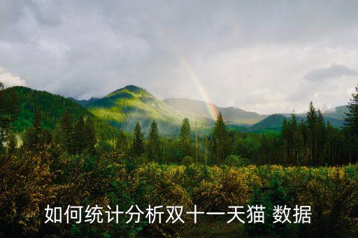 如何統(tǒng)計分析雙十一天貓 數(shù)據(jù)
