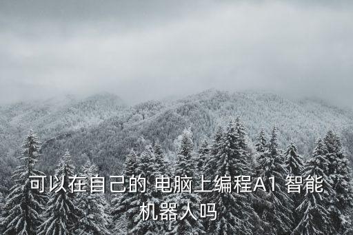 可以在自己的 電腦上編程A1 智能 機(jī)器人嗎