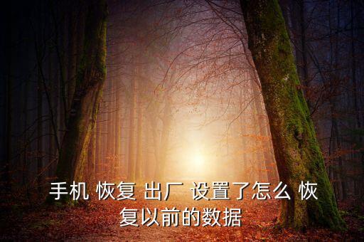  手機 恢復 出廠 設(shè)置了怎么 恢復以前的數(shù)據(jù)