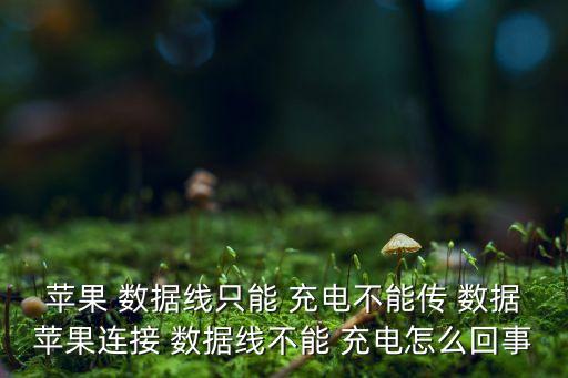 蘋果 數(shù)據(jù)線只能 充電不能傳 數(shù)據(jù)蘋果連接 數(shù)據(jù)線不能 充電怎么回事