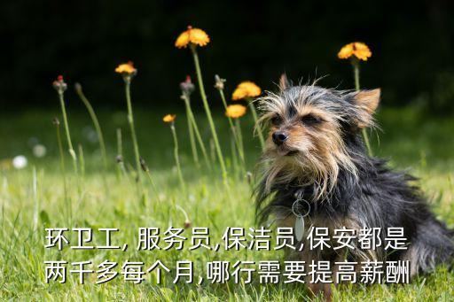 環(huán)衛(wèi)工, 服務員,保潔員,保安都是兩千多每個月,哪行需要提高薪酬
