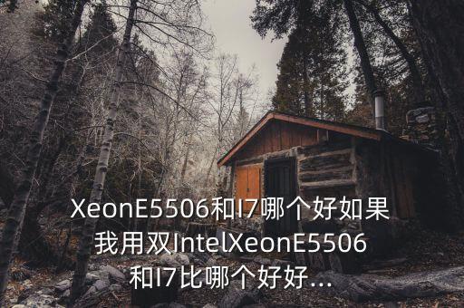 XeonE5506和I7哪個好如果我用雙IntelXeonE5506和I7比哪個好好...