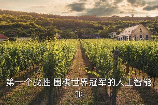 第一個戰(zhàn)勝 圍棋世界冠軍的人工智能叫