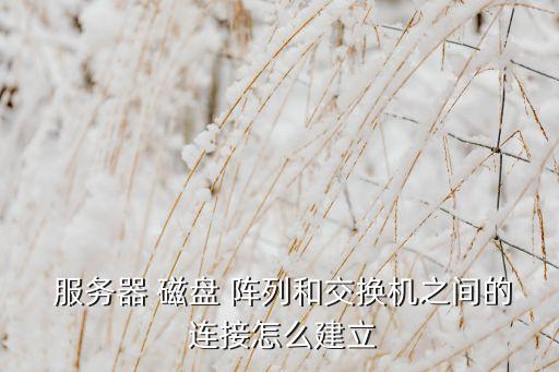 磁盤陣列與服務(wù)器數(shù)據(jù)線連接,dell磁盤陣列怎么連接服務(wù)器