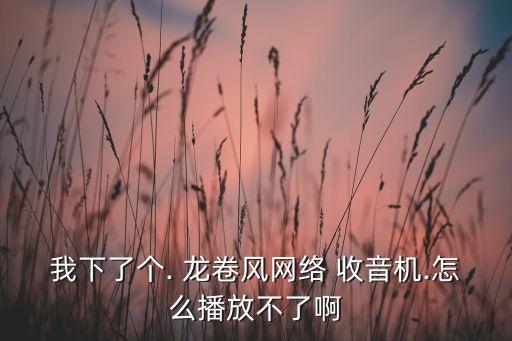 我下了個. 龍卷風網(wǎng)絡 收音機.怎么播放不了啊