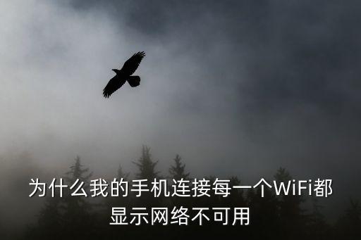 為什么我的手機(jī)連接每一個(gè)WiFi都顯示網(wǎng)絡(luò)不可用