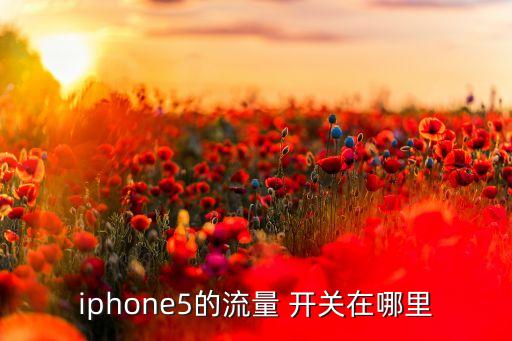 iphone5的流量 開關(guān)在哪里