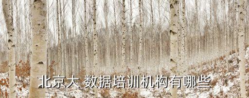 大數(shù)據(jù) 眾包服務(wù)有限公司