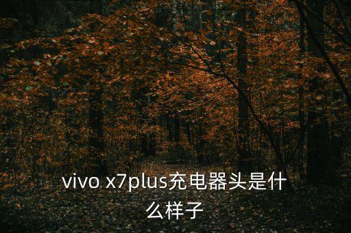 vivo x7plus充電器頭是什么樣子