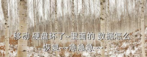 移動 硬盤壞了~里面的 數(shù)據(jù)怎么 恢復(fù)~~急急急~~