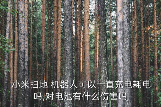  小米掃地 機(jī)器人可以一直充電耗電嗎,對電池有什么傷害嗎