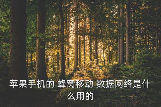 蘋果手機(jī)的 蜂窩移動(dòng) 數(shù)據(jù)網(wǎng)絡(luò)是什么用的