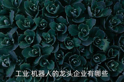 機(jī)器人ABBKUKA